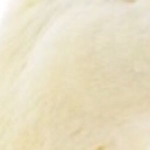 Meet your Posher, Nelody